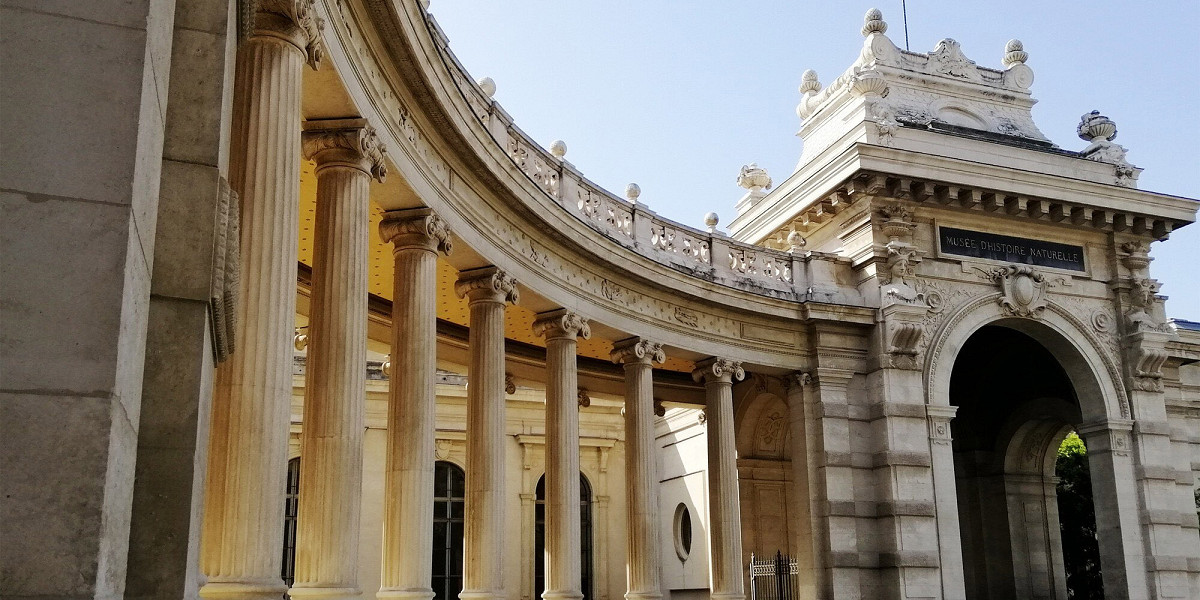 Иммиграционная амнистия в Испании 2026: как получить документы за три месяца