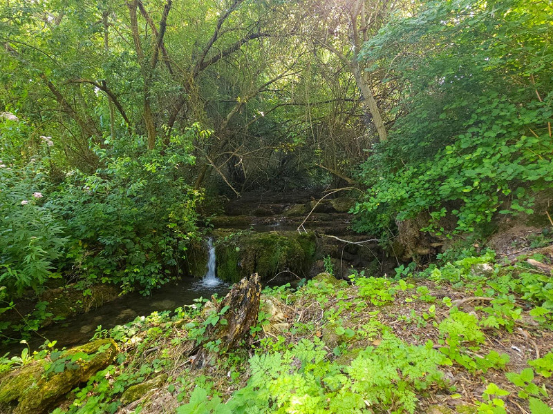 House with Garden, Terrace, and Guest Area in the Basque Country — Surrounded by Nature and Timeless Tranquility. Photo:  9