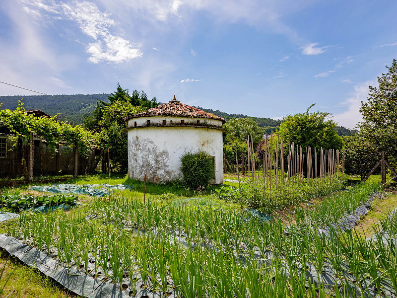 Seaside Home with Private Dock in Galicia. Photo:  7